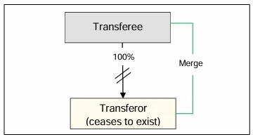 ‌Examples of transactions not covered under Business Restructuring Relief