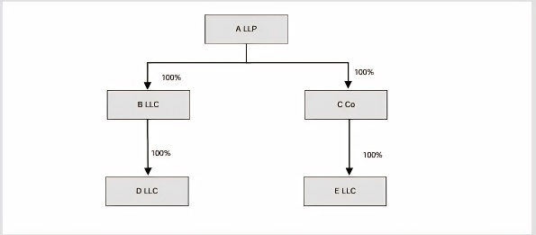 Example 13: Wholly owned and controlled by Qualifying Investment Fund conditions
