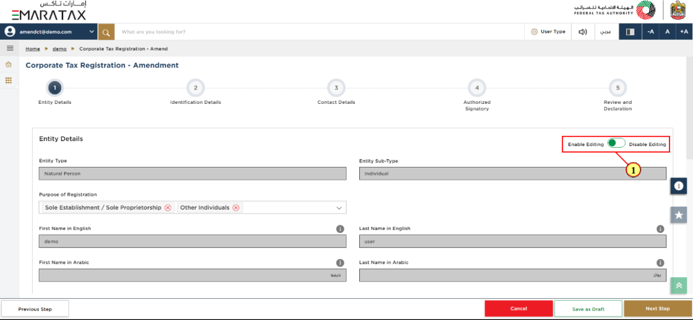 Entity Details Section